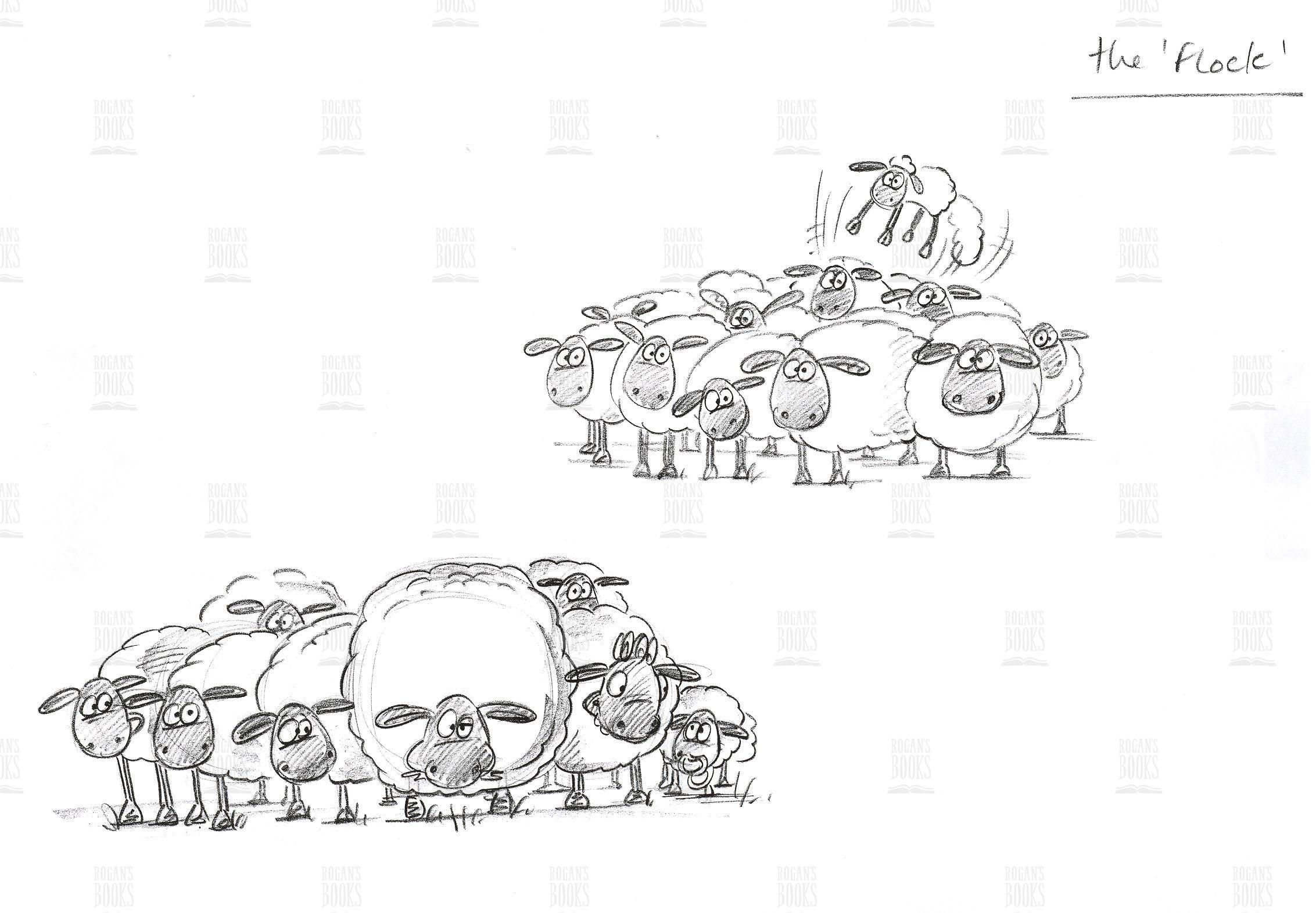 Sylvia Bennion The Flock Children's Book Illustrations at Rogans Books