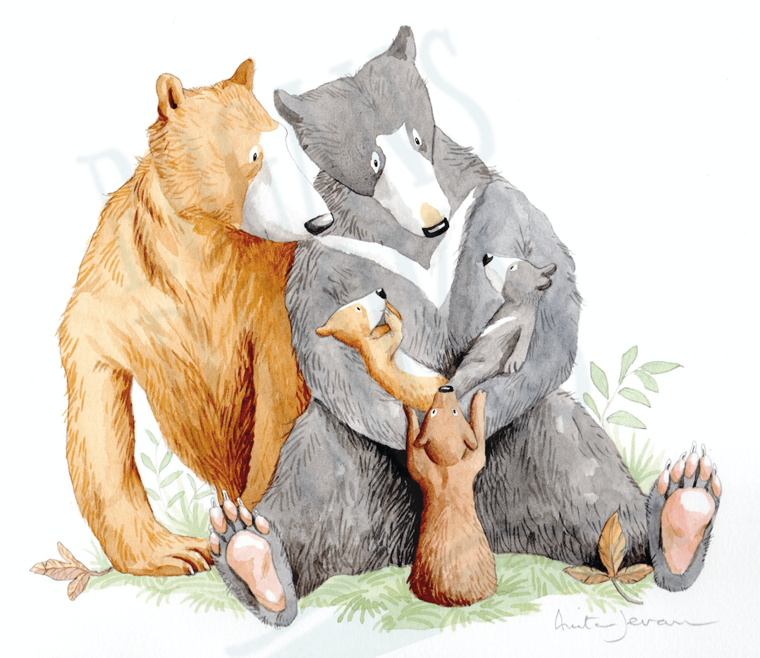 Baby　Bears　Illustrations　Jeram　Anita　at　Rogans　Nicest　The　Book　Children's　Books
