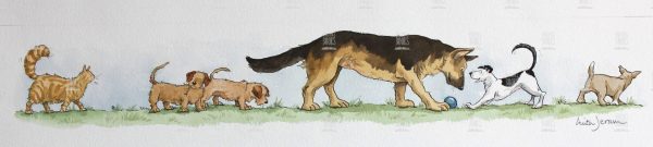 Anita Jeram - Loving Lupin