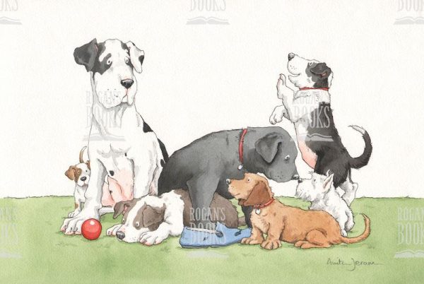 Anita Jeram - Hardback book cover artwork