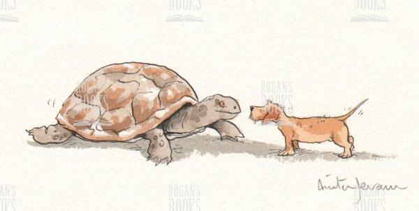 Anita Jeram - Tortoise and puppy p.6 hardback