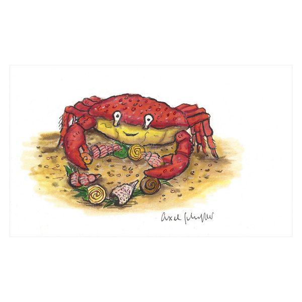 Axel Scheffler - Then a crab scuttled up with a necklace of shells!