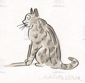 Charlotte Voake - The mystery visitor