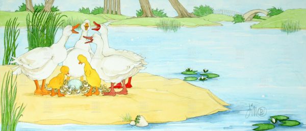 Jill Barton - All the big ducks were excited