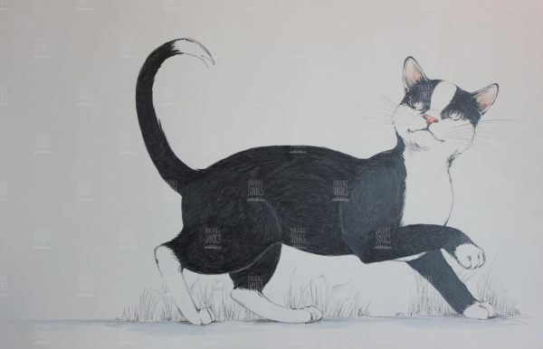Jill Barton - So refined, with such grace …