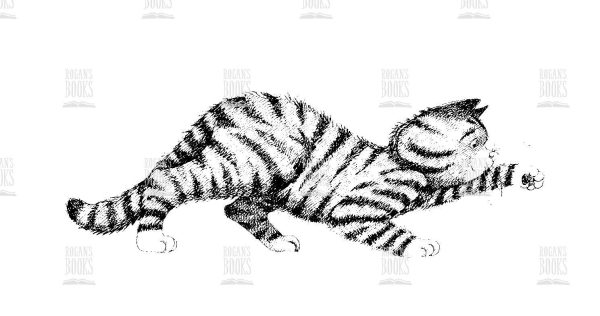 Jill Murphy - Tabby pouncing