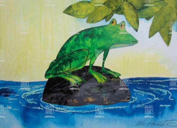 Petr Horacek - Frog