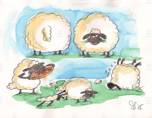 Sylvia Bennion - The Big Fat Sheep