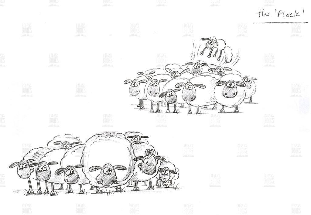 Sylvia Bennion The Flock Children's Book Illustrations at Rogans Books